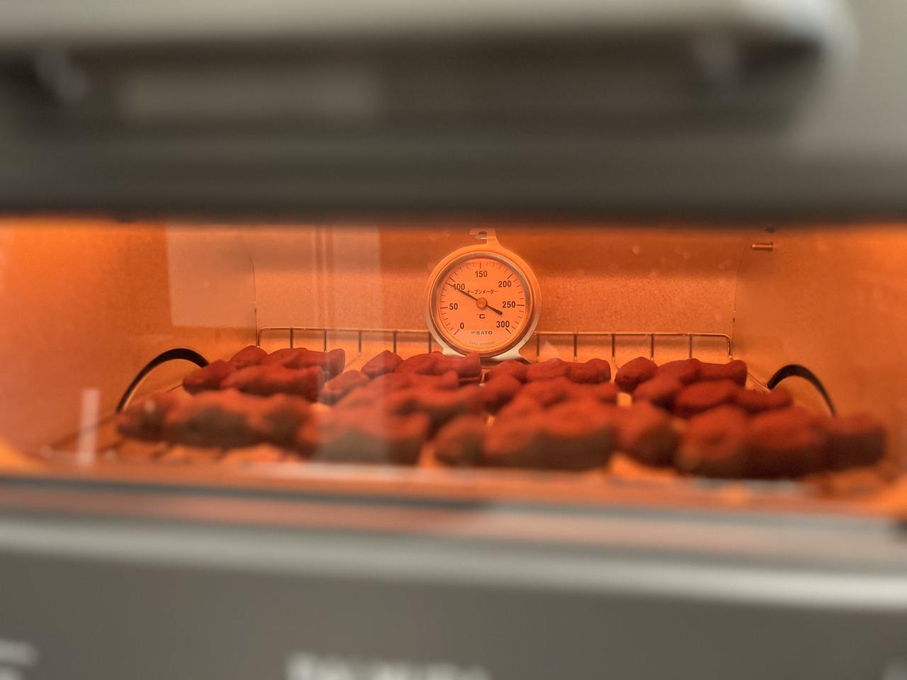 SK-1726-20 in oven with bear